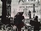 WINTER Netherlands into Darkness LP (colour vinyl) Hellhammer Thergothon Urfaust