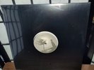 10 Poppy The Spore Vinyl Records Sedated Electronic House Music 2002 LP 12