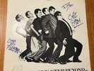 MADNESS “ONE STEP BEYOND…” 1979 ORIG  LP Stiff Records Seez 17 signed