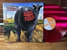 Dude Ranch BLINK 182  (Lmtd  Edition Red Vinyl, Dec-2016, Src Records) NEAR MINT