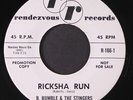 B. BUMBLE & STINGERS: ricksha run / nautilus RENDEZVOUS 7