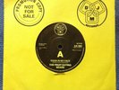 THE FRUIT EATING BEARS - DOOR IN MY FACE rare UK 1978 DEMO PROMO / PUNK / MINT-