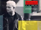Belouis Some - Animal Magic - Vinyl Record 12.. - P7350A