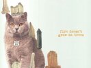BRIAN JONESTOWN MASSACRE - Fire Doesn't Grow On Trees - Vinyl (LP)