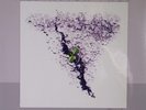 Agitation Free-2nd German prog psych reissue lp brand new