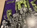 MISFITS - Earth AD / Wolf's Blood (LP Vinyl Record) PL9-02 1990 Press