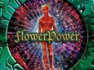 FLOWER KINGS - FLOWER POWER (2022) (REMASTER) NEW VINYL