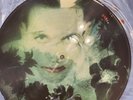 the cure  - Disintegration Picture Disc Vinyl