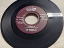 The Silhouettes 1959 DOO WOP 45 Evelyn / Never Will Part ORIG JUNIOR VG++ HEAR