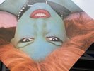 the drones Punk Vinyl