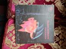 Black Sabbath - Paranoid LP 1st Pressing 12” Vinyl
