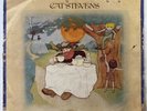 Cat Stevens, Tea for The Tillerman (1970) 12