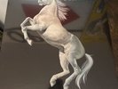 Stallion lp / NBLP 7040 / SEALED