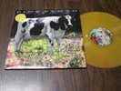 2B LP gold wax Pink Floyd Kqed TV Studios Limited edition