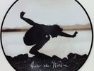 EDDIE VEDDER Into The Wild 2007 Promo Picture Disc LP PEARL JAM Vinyl Films