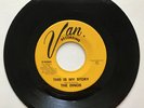 The Dinos “This Is My Story” Tejano Chicano Latin Soul 45 Record Bobby Lira