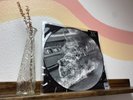 Rage Against The Machine XX Anniversary Edition LP Picture Disc New SEALED