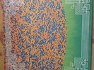 Black Magick Ss Hidden In Plain Sight Vinyl LP