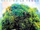Yo La Tengo Fade (Vinyl) 12