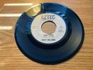 SOUL 45 DICKY WILLIAMS HONEY BABE AZTEC 102 VG+ OR BETTER