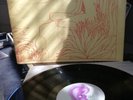 Ash Ra temple Schwingungen Vinyl