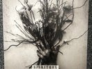 Spiritbox Self Titled EP Black Blue Smash Vinyl In Hand Mint Sealed Exclusive Lp