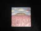 When I Think Of You In A Castle - Post Animal, PRC-351, 180-Gram, Magenta Vinyl