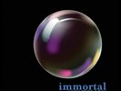 Ann Wilson Immortal (Vinyl) 12