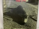Pearl Jam Who killed Rudolph? Sonic Reducer/Ramblings Fan Club Christmas Single