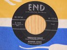 Ronnie Jones Doowop 45 Teenage Rock bw Little Girl Next Door on End