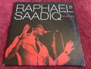 RAPHAEL SAADIQ THE WAY I SEE IT RARE COLUMBIA 2008 VINYL TONY TONI TONE D ANGELO