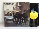 FLAMIN' GROOVIES Shake Some Action ORIG Sire LP 70's ROCK Rare TERRE HAUTE PRESS