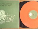 Knuckle Puck - Copacetic Vinyl LP Orange Like New