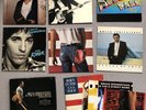 Bruce Springsteen 12 Vinyl LP & Tour Programmes Bundle VG+ Complete - Free P&P