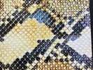 THE AMAZING SNAKEHEADS - Amphetamine Ballads LP vinyl ROCK & ROLL 2014 Domino