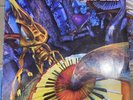 Infected Mushroom - Classical Mushroom 2 x LP