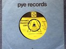 SCRUGG - LAVENDER POPCORN rare UK 1968 DEMO PROMO ACID PSYCH / JOHN KONGOS MINT-
