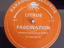 CITRUS- Fascination - Frantic / breakbeat /    Old Skool  / Hardcore/ RARE /1993