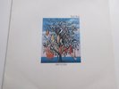 Talk Talk – Spirit Of Eden - LP OIS