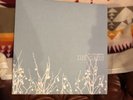 Oh Inverted World by The Shins (Record, 2002)