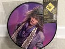 Bon Jovi - Slippery When Wet Picture Disc LP Vinyl Album Limited Edition