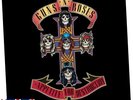 Appetite for Destruction - Guns N' Roses (2008, Vinyl / 12