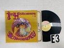 Jimi Hendrix Are You Experienced Record lp original vinyl album Mono