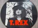 T.Rex-The Slider 1987 Vinyl Record Picture Disc LP, UK 1st Press, N Mint, Bolan