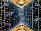 Virus The Lunacy (UK IMPORT) Vinyl NEW