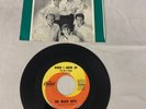 BEACH BOYS 45  When I Grow Up (To Be A Man) / She Knows Me Too Well W/ Sleeve 7”
