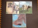 Pink Floyd 3 RECORDS ODEON JAPAN Atom Heart Mother MEDDLE UMMAGUMMA