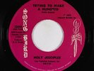 Northern Soul Funk Gospel 45 - Holy Disciples - Trying To Make A Hundred - mp3