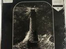 The Lighthouse Vinyl - Limited Edition to 500 copies