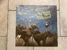 Fairport Convention _ Unhalfbricking _ Vinile LP 33giri _ 1969 A&M USA1st MINT